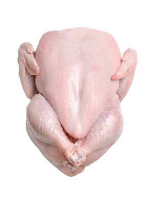 DLP-SUSL-Broiler-Chicken